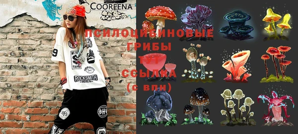 бошки Аркадак