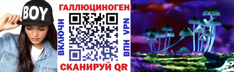 мега   Усинск  Псилоцибиновые грибы MAGIC MUSHROOMS 
